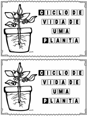 Mini livrinho Ciclo de Vida de uma planta